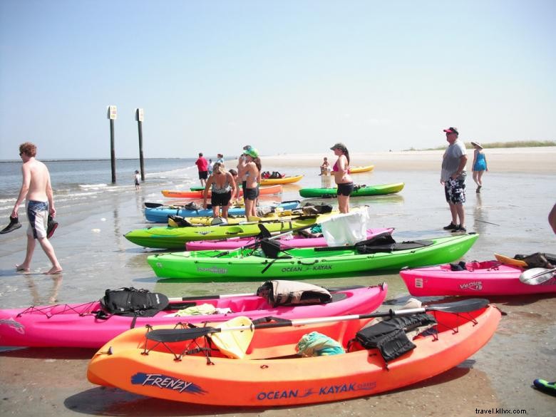 Surf et kayak de l île du Nord 