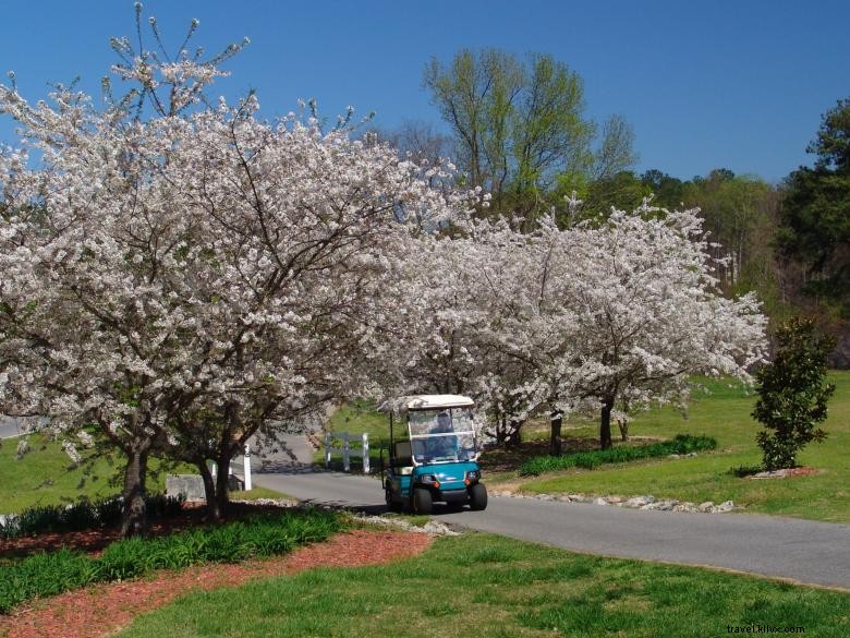 Caminos de carritos de golf a través de la ciudad de Peachtree 