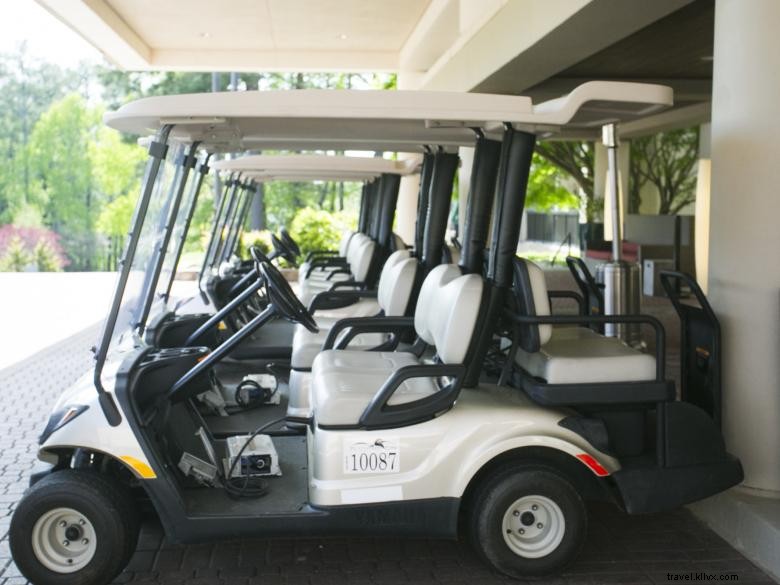 Percorsi di golf cart attraverso Peachtree City 