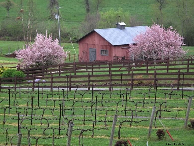 Vignobles de Stonewall Creek 