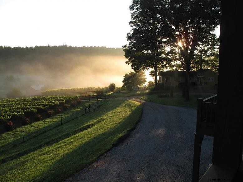 Viñedos de Stonewall Creek 