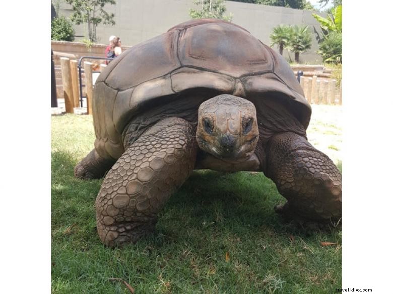 アトランタ動物園 