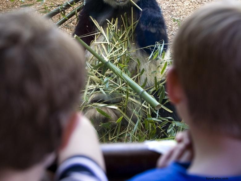 アトランタ動物園 