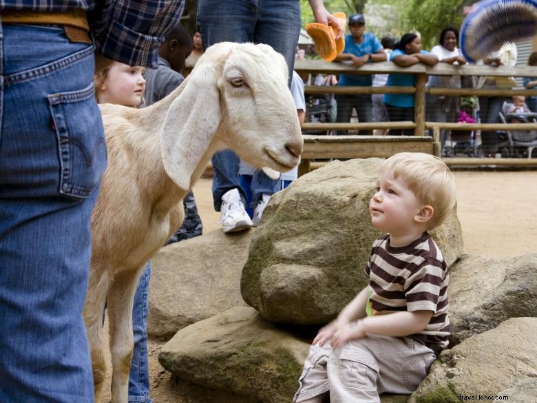 Zoo d Atlanta 