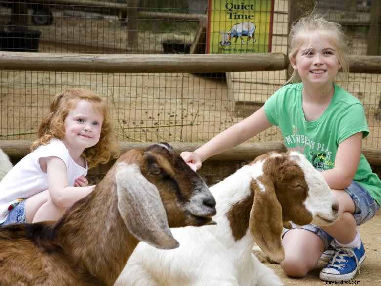 Zoo di Atlanta 