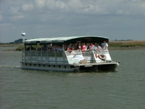 Bull River Cruises - Tur Ramah Lingkungan 