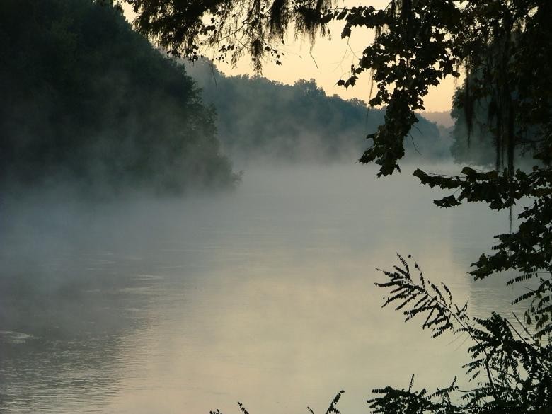 Crociere sul fiume Bull - Tour ecologici 