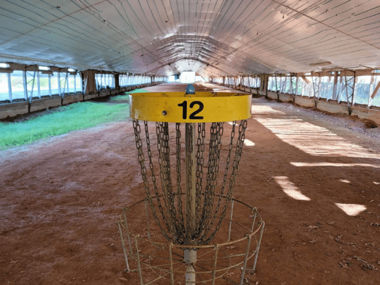 Bomb Squad Disc Golf di North Georgia Canopy Tours 