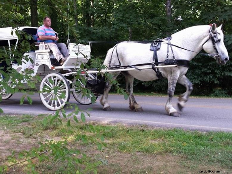 Compañía de transporte alpino 