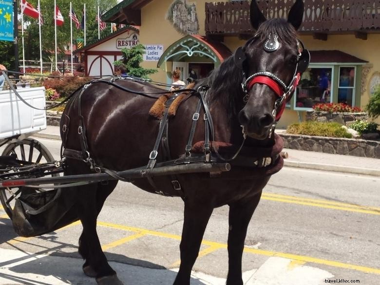 Compañía de transporte alpino 