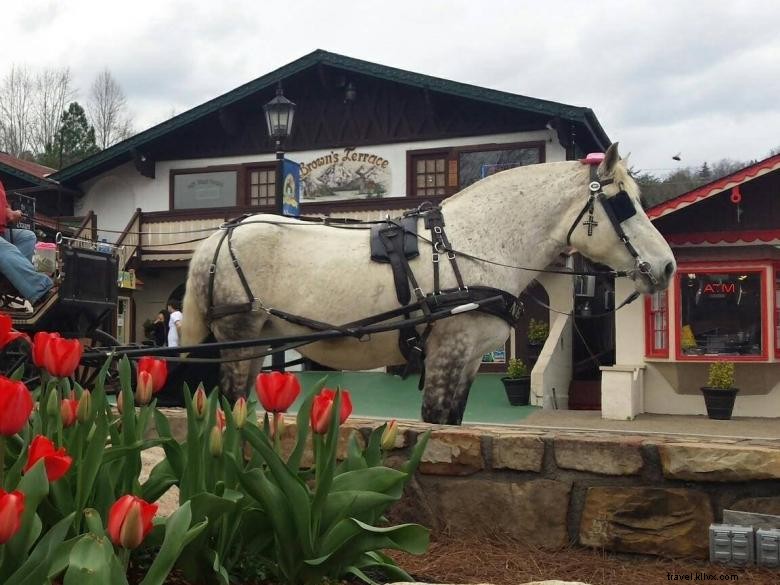 Compagnia di carrozze alpine 