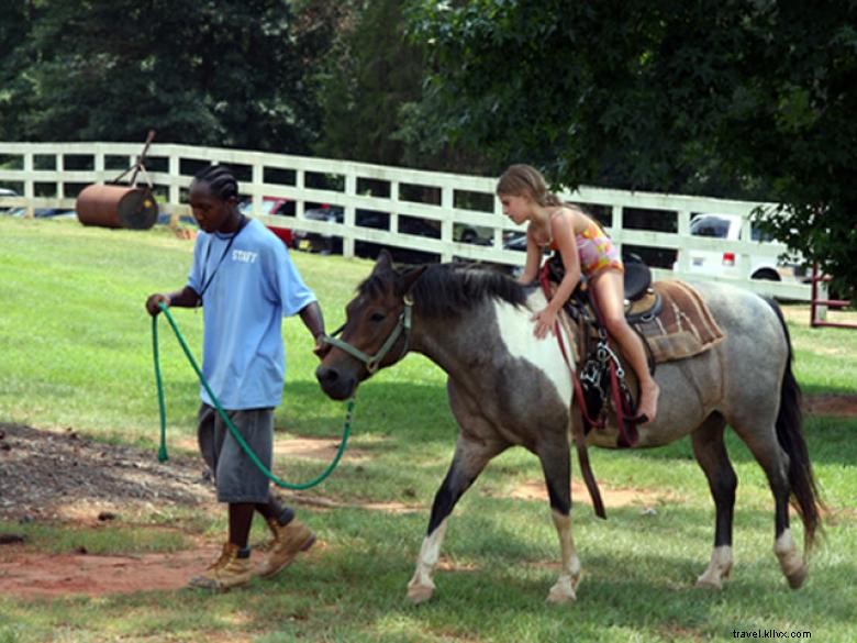 Butts Mill Farm 