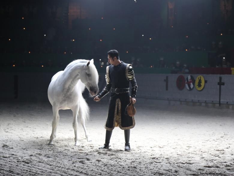 Dîner et tournoi de l époque médiévale 