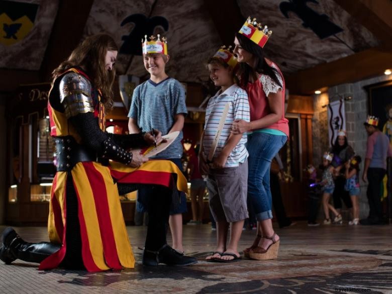 Dîner et tournoi de l époque médiévale 