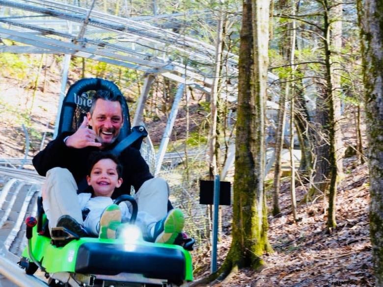 Georgia Mountain Coaster 