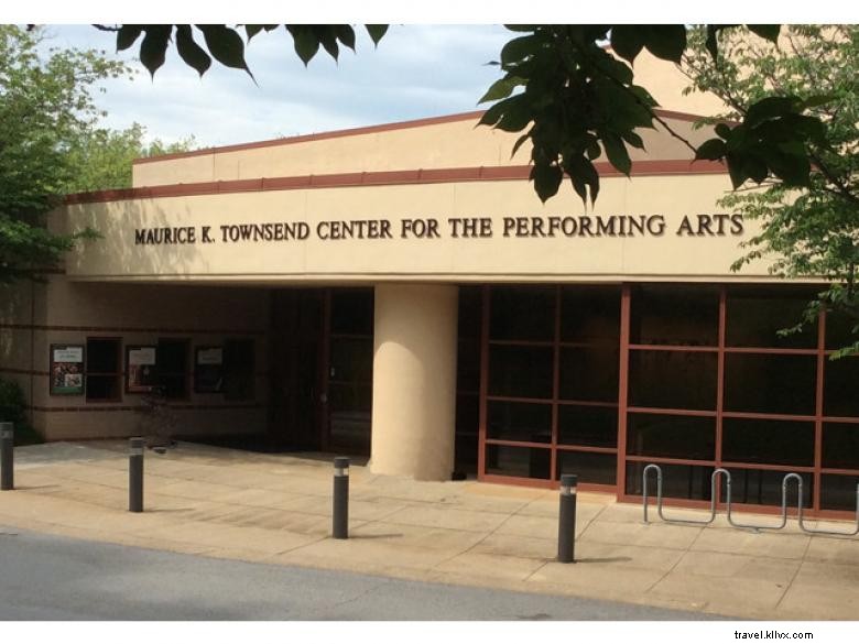 Il Centro per le arti dello spettacolo di Townsend 