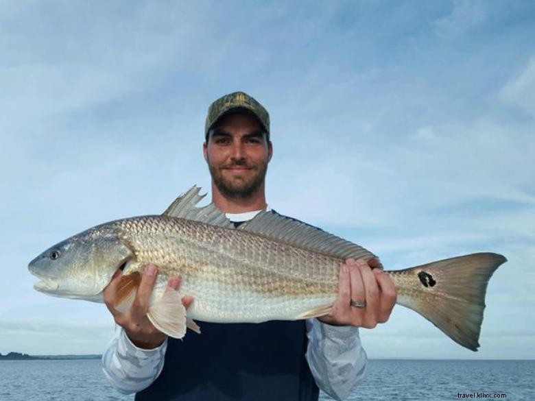 Avventure di pesca costiera nelle paludi 