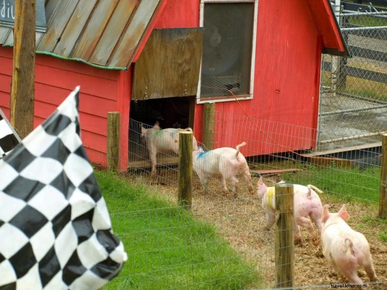 Belle ferme du sud 