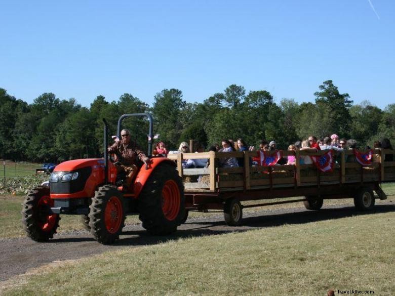 Southern Belle Farm 