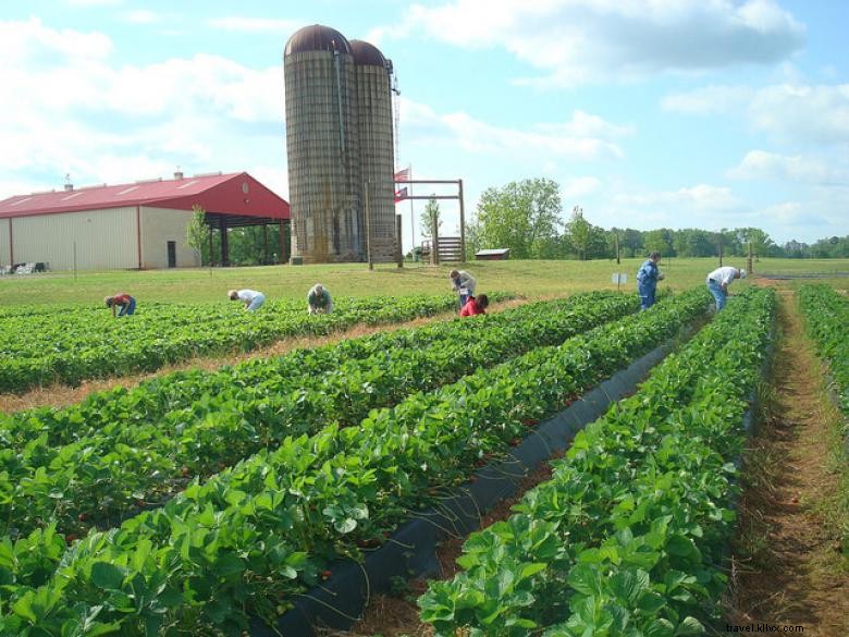 Belle ferme du sud 