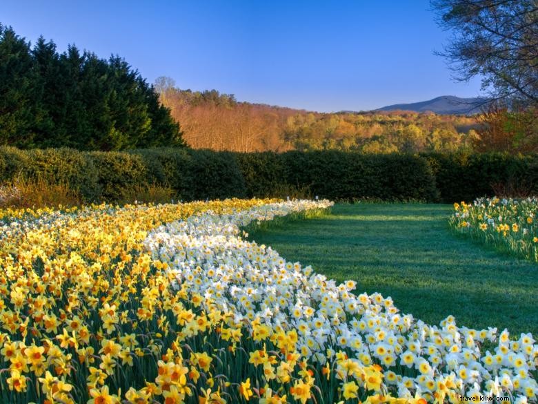 Sendero del jardín del norte de Georgia 