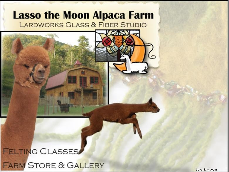 Lasso the Moon Alpaca Farm e Lardworks Glass, Estúdio de fibras e joias 