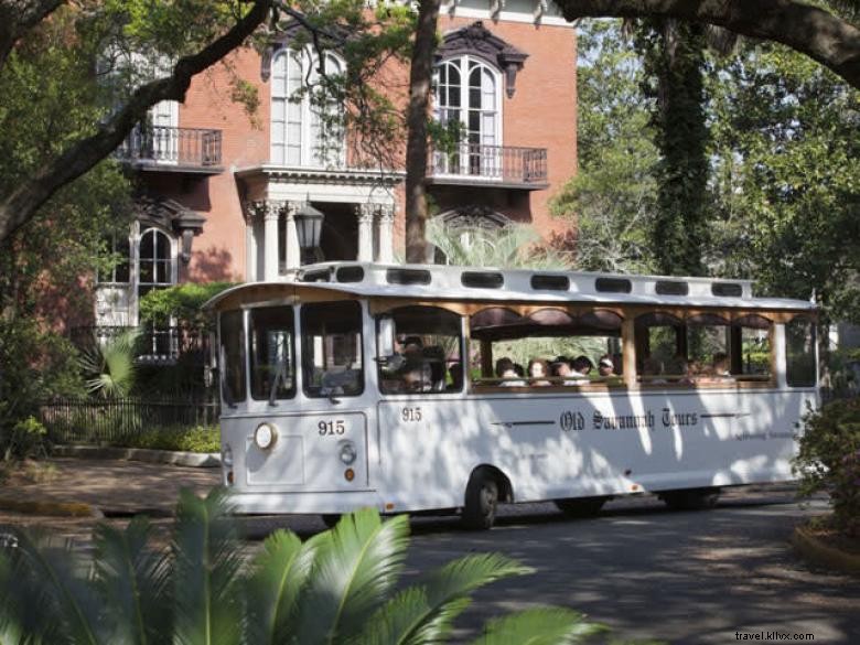 Visitas turísticas en Old Savannah 