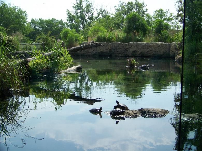 Kuarium Sungai Flint 