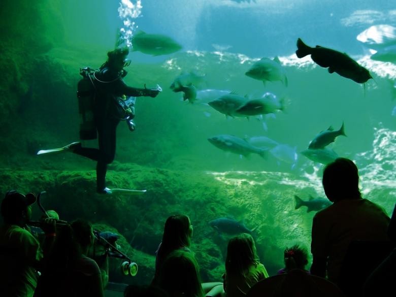 Flint RiverQuarium 