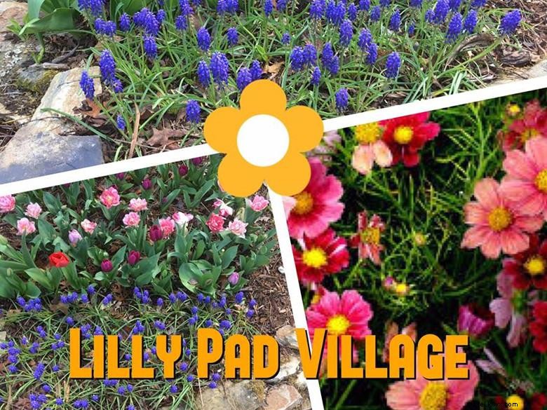 Il villaggio di Lilly Pad 