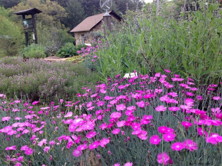 Jardines en Georgia Mountain Research &Education Center 