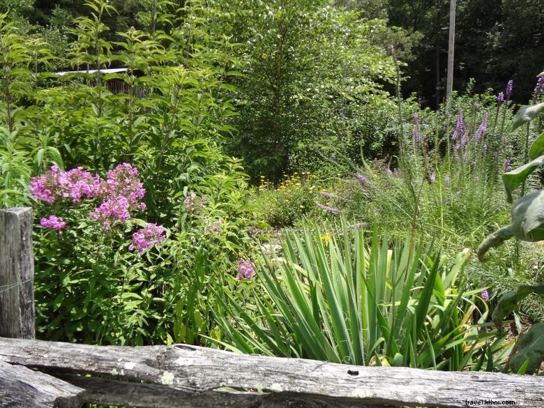 Jardines en Georgia Mountain Research &Education Center 