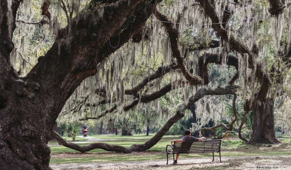 I migliori posti per picnic a New Orleans 