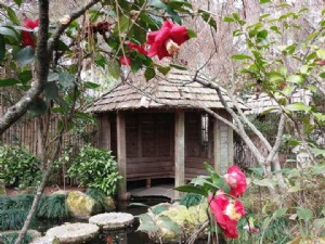 Masssee Lane Gardens Siège historique de l American Camellia Society 