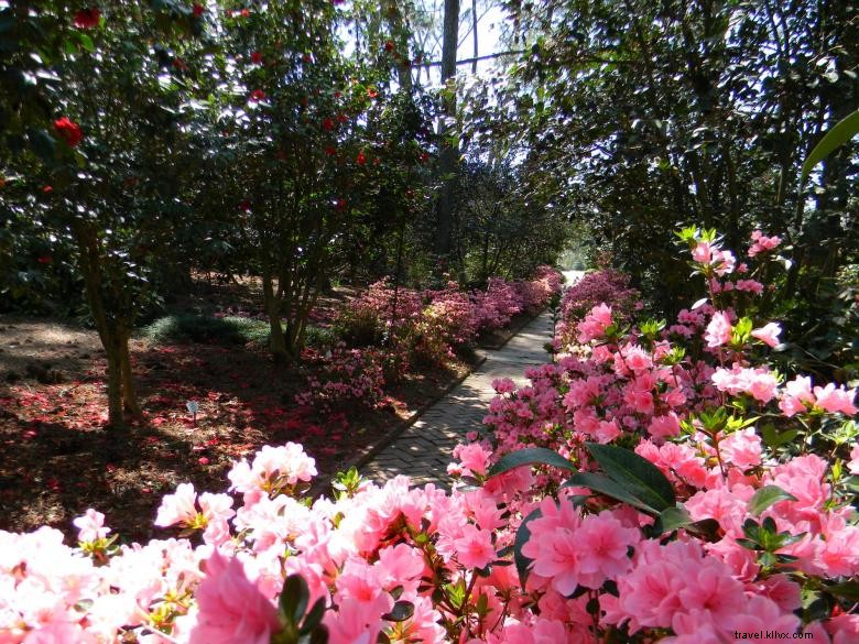 Masssee Lane Gardens Siège historique de l American Camellia Society 