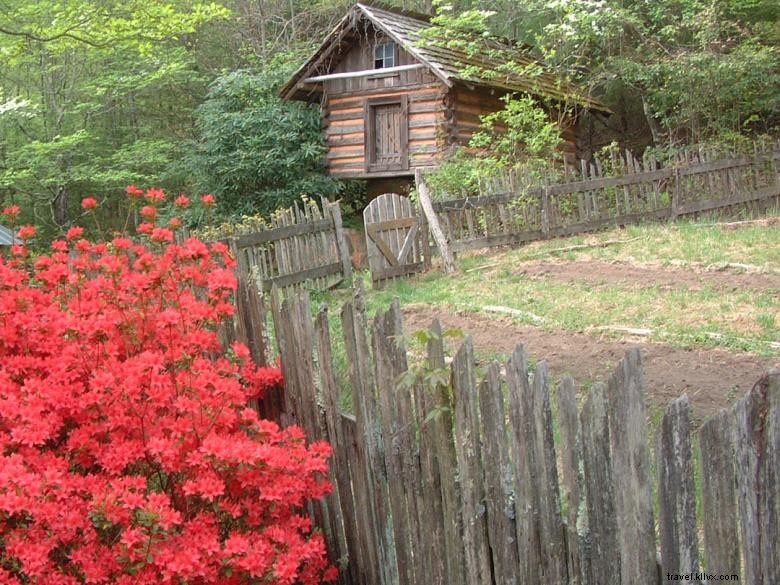 Musée et centre du patrimoine Foxfire 