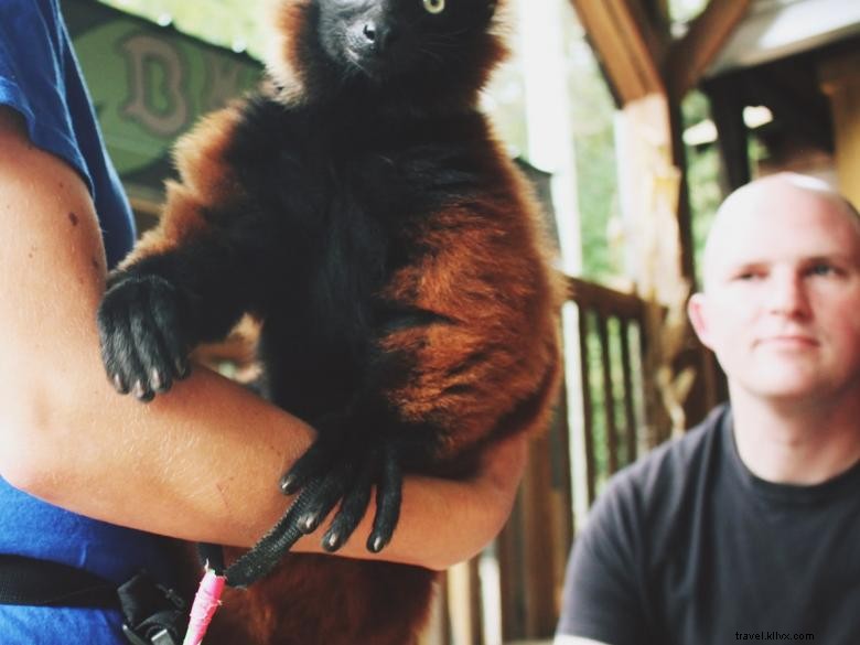 Parc animalier et safari de la Géorgie du Nord 