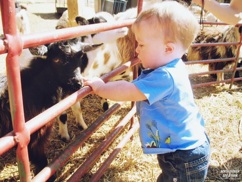 Parc animalier et safari de la Géorgie du Nord 