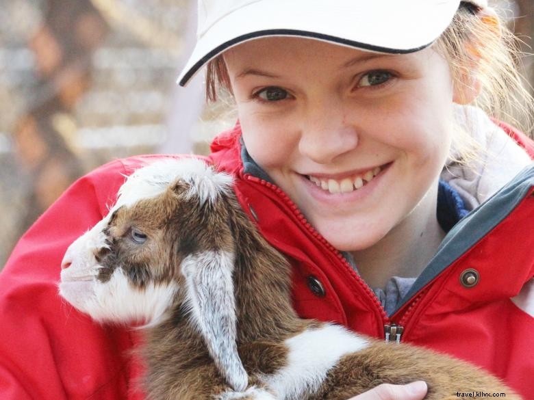 Parc animalier et safari de la Géorgie du Nord 