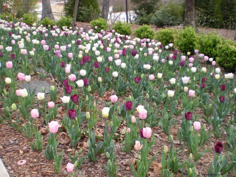 アトランタ植物園、 ゲインズビル 