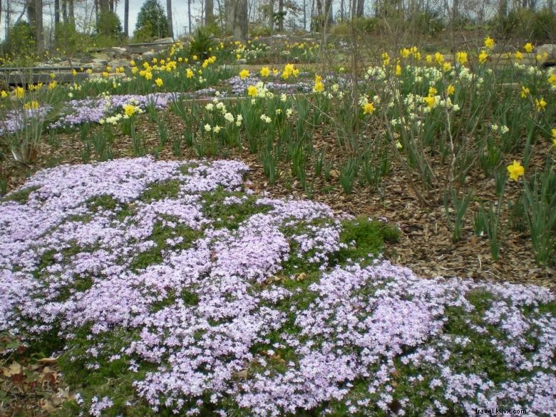 Jardim Botânico de Atlanta, Gainesville 