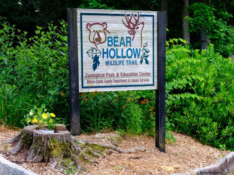 Kebun Binatang Beruang Hollow 