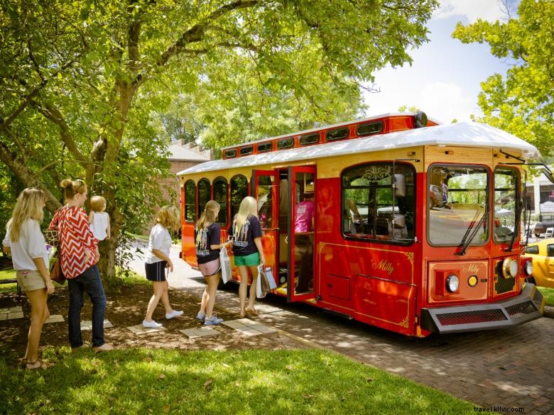 Visites historiques en tramway 