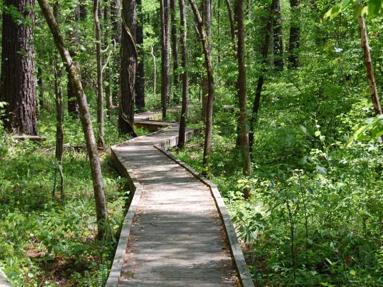 Centro del patrimonio e della riserva naturale di Autrey Mill 