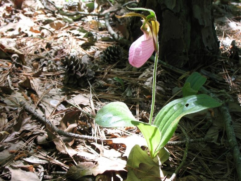 Autrey Mill Nature Preserve and Heritage Centre 