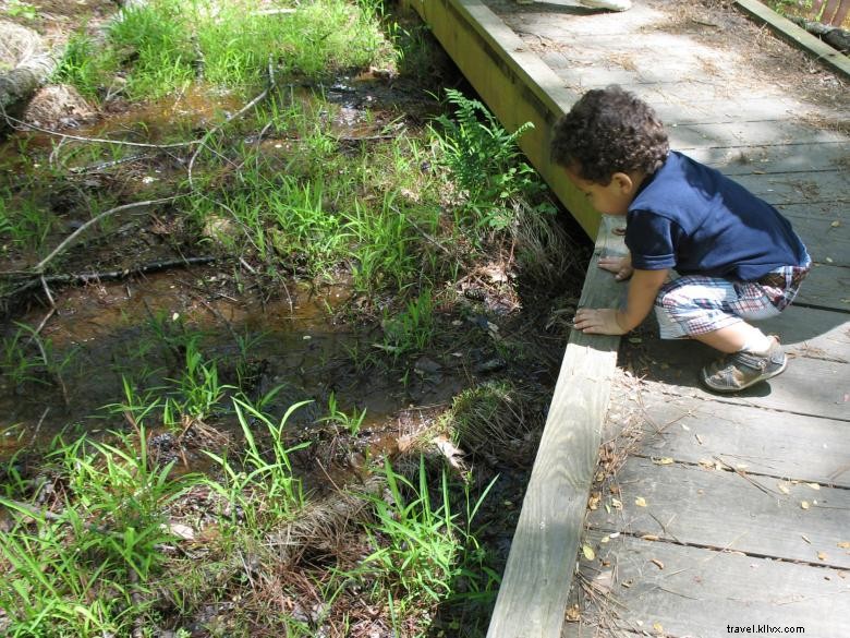 Autrey Mill Nature Preserve and Heritage Centre 