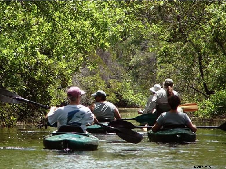 Aventuras de Okefenokee 