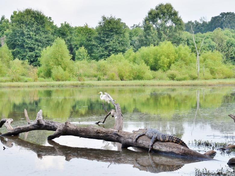 オクマルギーマウンズ国立歴史公園 