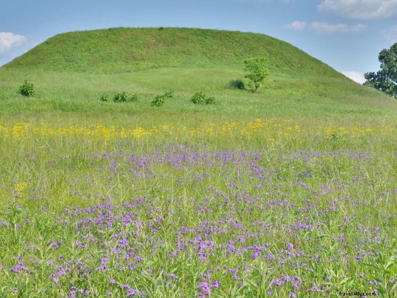 Parco storico nazionale di Ocmulgee Mounds 