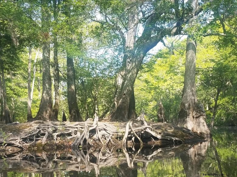 Expéditions dans les eaux stagnantes 